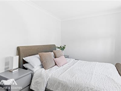 Picture 11